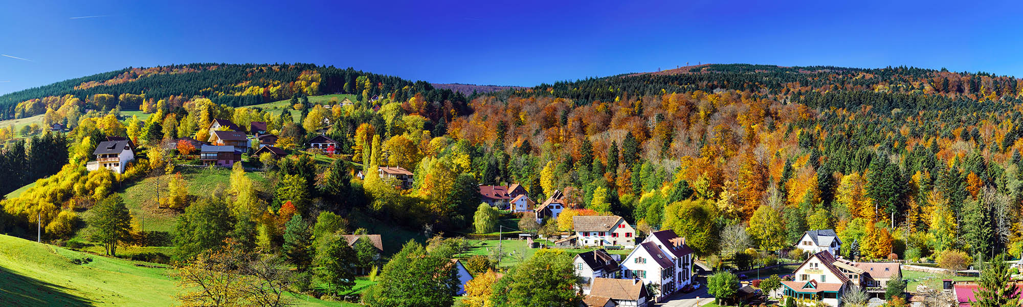 Christmas Markets of the Black Forest & Alsace