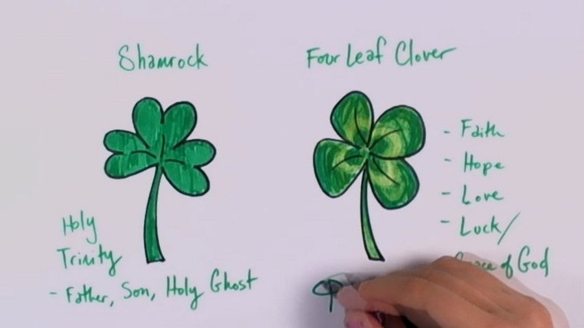 Shamrock vs Clover