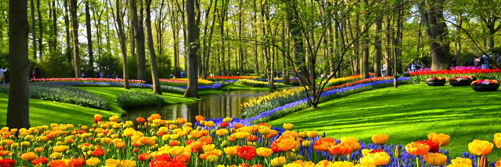 Keukenhof