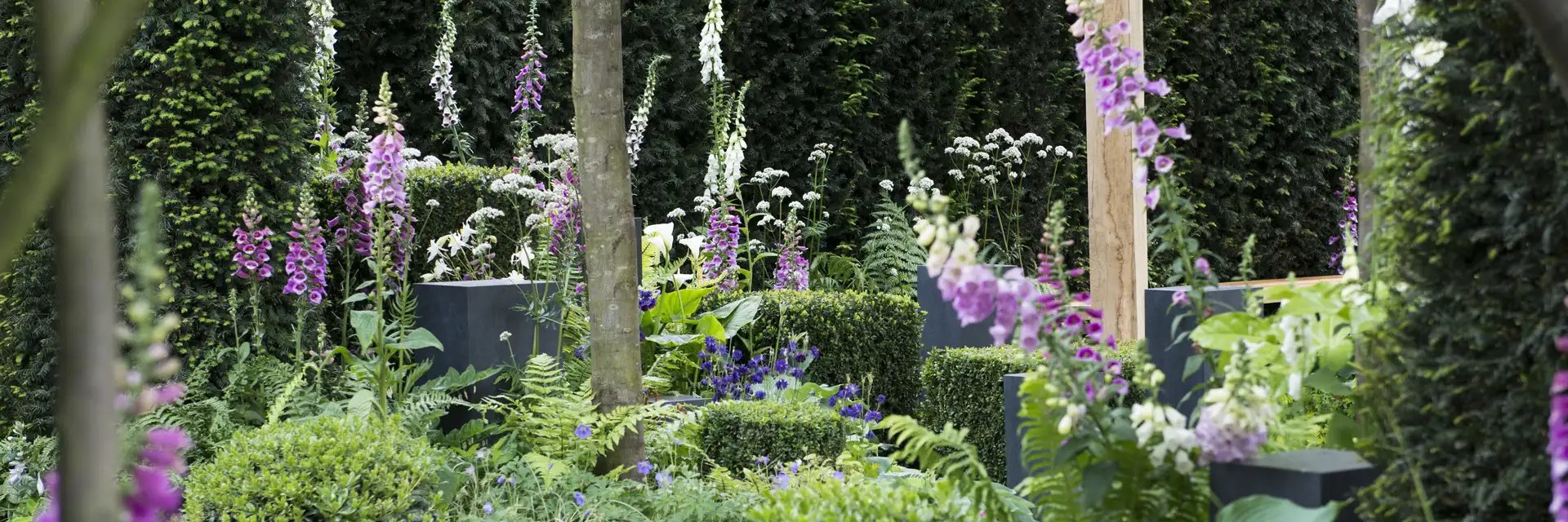 Chelsea Flower Show