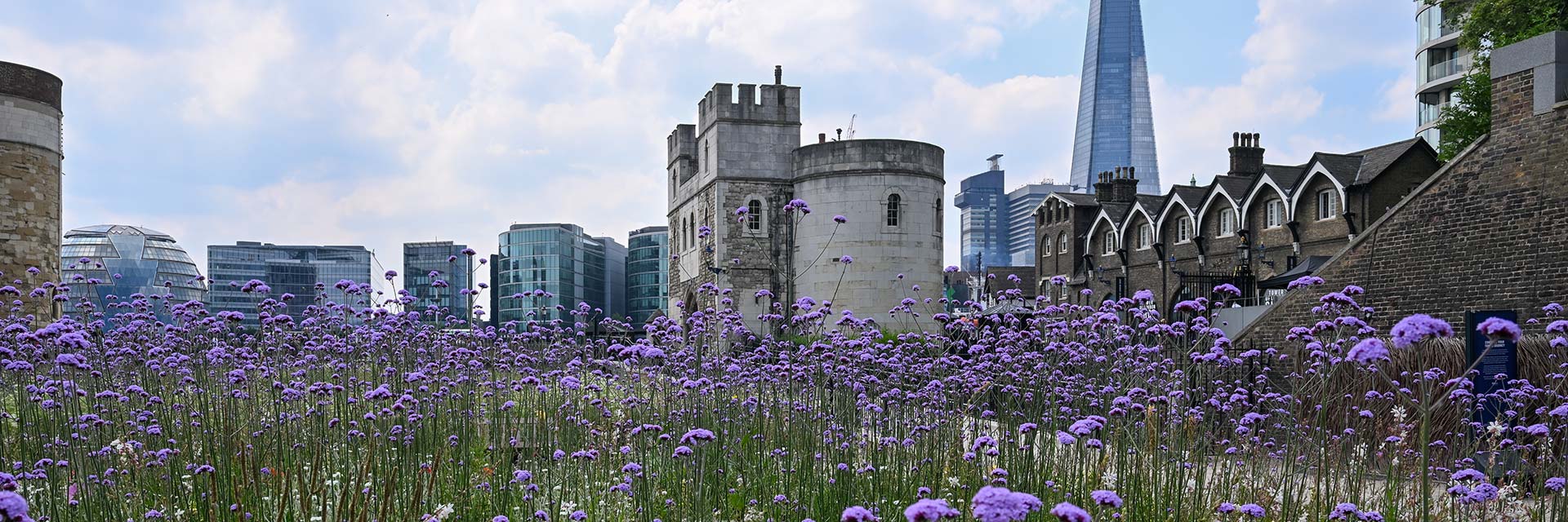 Moat in Bloom & the Tower of London